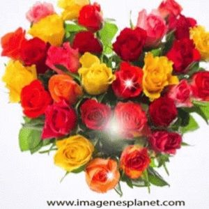 Meet your Posher, Itzel